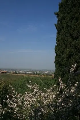 Tek Büyük Yataklı Oda, Bahçe Manzaralı