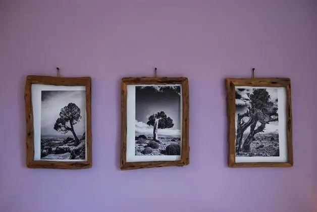 Panoramic Tek Büyük veya İki Ayrı Yataklı Oda
