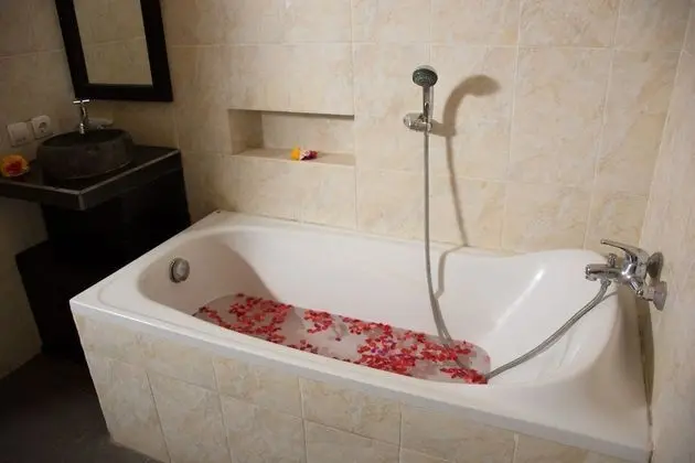 Superior Tek Büyük veya İki Ayrı Yataklı Oda