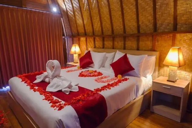 Deluxe Villa, 1 Yatak Odası