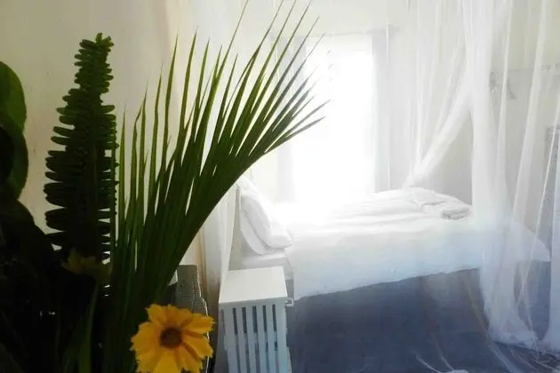 Deluxe Bungalov, 1 En Büyük (King) Boy Yatak, Balkon, Havuz Manzaralı