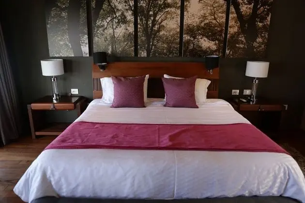 Deluxe Villa, 1 En Büyük (King) Boy Yatak