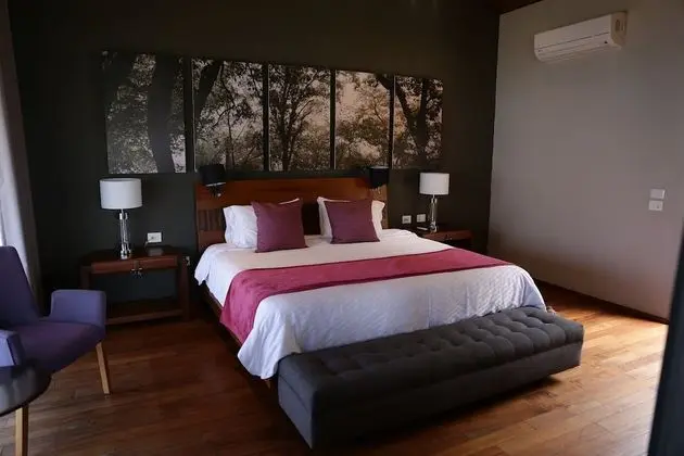 Deluxe Villa, 1 En Büyük (King) Boy Yatak