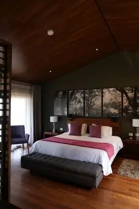 Deluxe Villa, 1 En Büyük (King) Boy Yatak