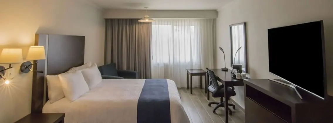 Superior Oda, 1 En Büyük (King) Boy Yatak, Sigara İçilmez