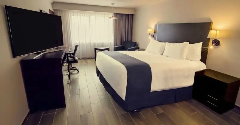 Superior Oda, 1 En Büyük (King) Boy Yatak, Sigara İçilmez