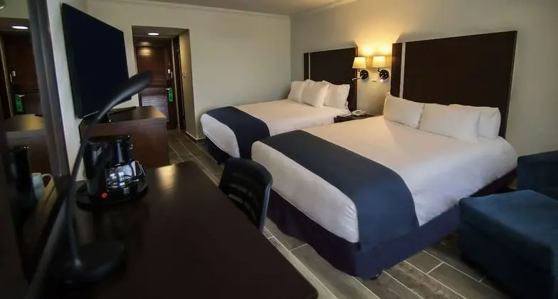 Superior Oda, 2 Çift Kişilik Yatak, Sigara İçilmez