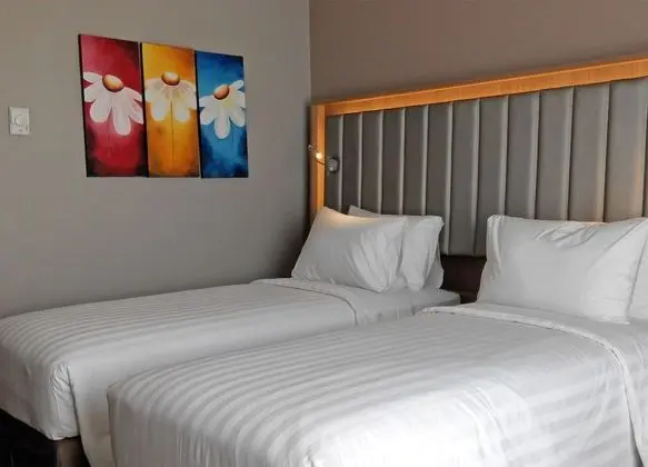 Superior Twin- Room Only