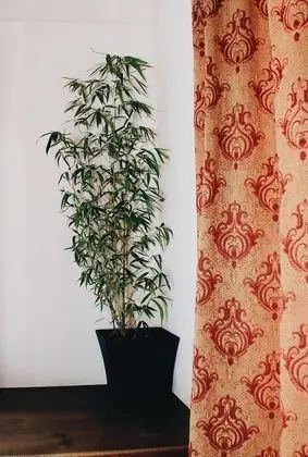 Design Kulübe, Birden Çok Yatak, Özel Banyo