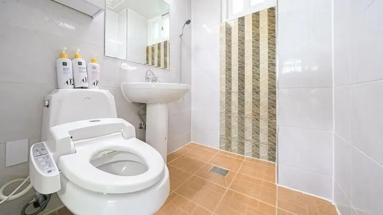 Basic Oda, 2 Yatak Odası (VIP2(Pulbilra,Oceanview))
