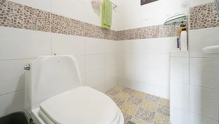 Basic Oda, 1 Yatak Odası (Cotagegreen ( F2,ocean view ))