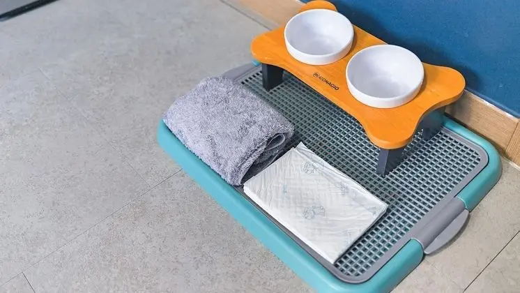 Basic Oda, 1 Yatak Odası (202 (PET))