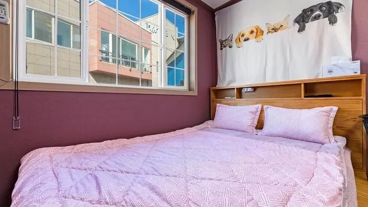 Basic Oda, 1 Yatak Odası (203 (PET))