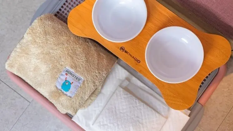 Basic Oda, 1 Yatak Odası (203 (PET))