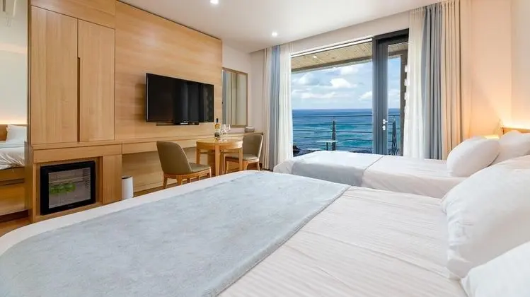 Basic Oda, 1 Yatak Odası (501)