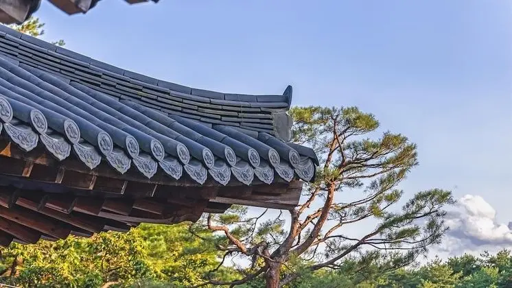 Basic Oda, 5 Yatak Odası (Dogchaehyeong(jeonchesayong))