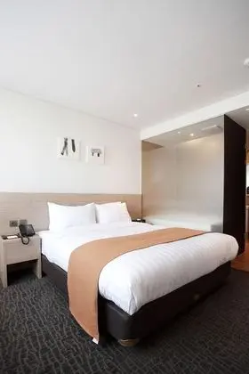 Deluxe Tek Büyük Yataklı Oda