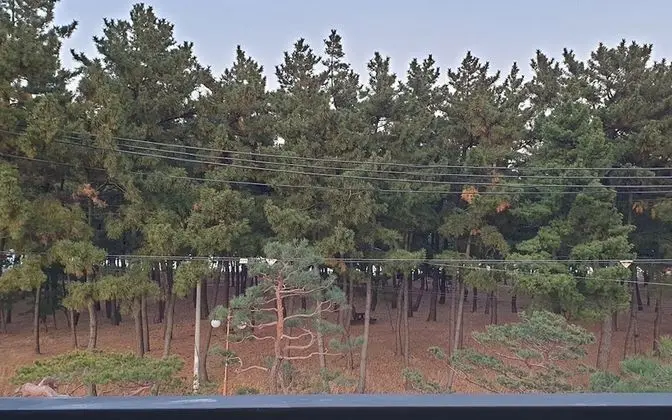 Oda (201 Double Room)