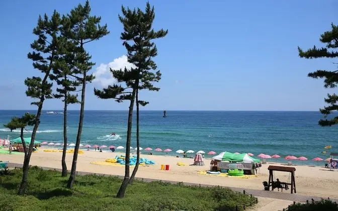 Oda (Ocean View Couple Room)