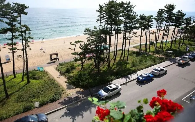 Oda (Ocean View Deluxe)