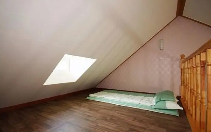 Oda (Dalmatikkot (Duplex))