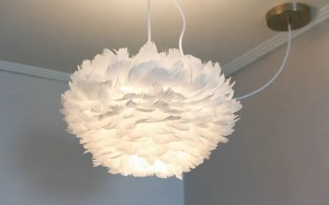 Oda (Special- (Ocean View 4F))