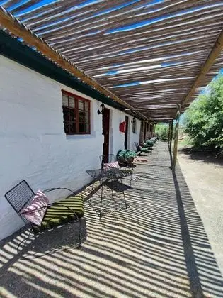 Standard Tek Büyük veya İki Ayrı Yataklı Oda, 1 Yatak Odası