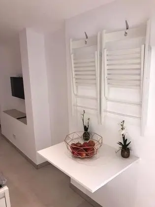 Basic Stüdyo