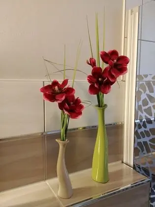 Exclusive Apart Daire, 1 Yatak Odası