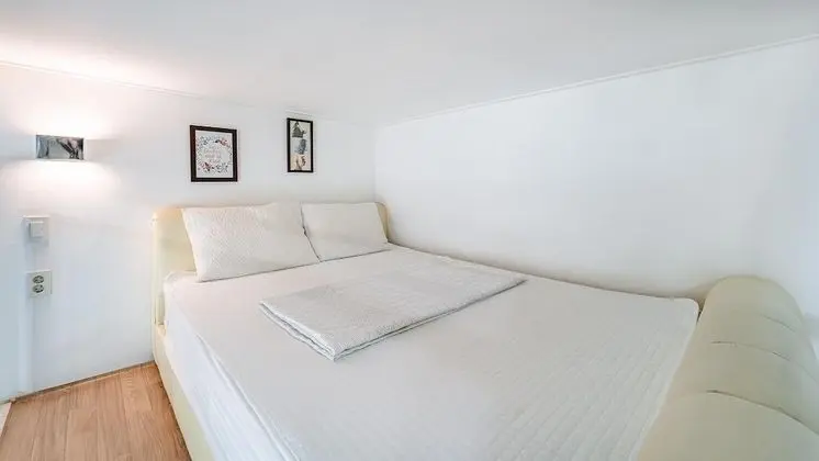 Basic Oda, 1 Yatak Odası (A 101(with pet))