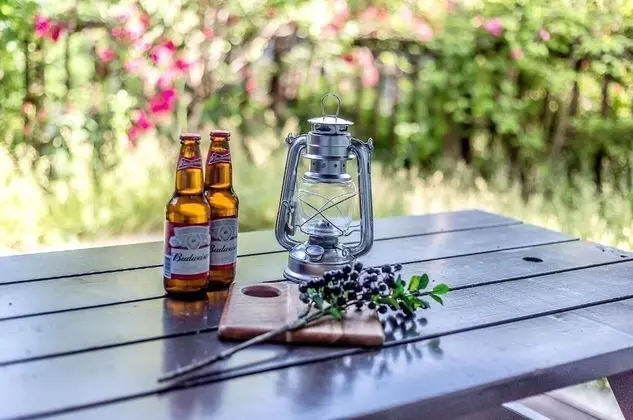 Basic Oda, 1 Yatak Odası (A-1(Mountain View))