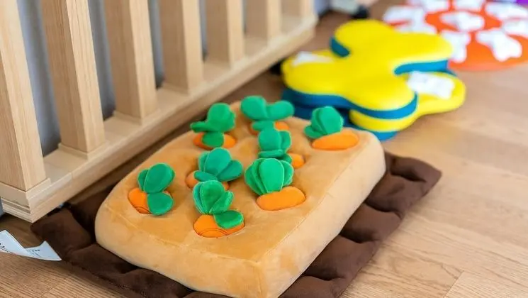 Basic Oda, 1 Yatak Odası (Spa Glam A(Pet Room))