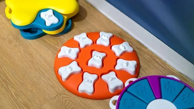 Basic Oda, 1 Yatak Odası (Spa Glam A(Pet Room))