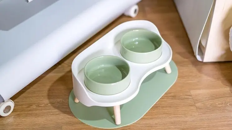 Basic Oda, 1 Yatak Odası (Spa Glam A(Pet Room))