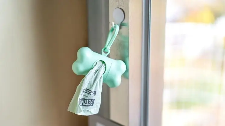 Basic Oda, 1 Yatak Odası (Spa Glam A(Pet Room))