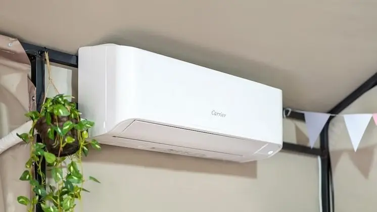 Basic Oda, 1 Yatak Odası (Spa Glam A(Pet Room))