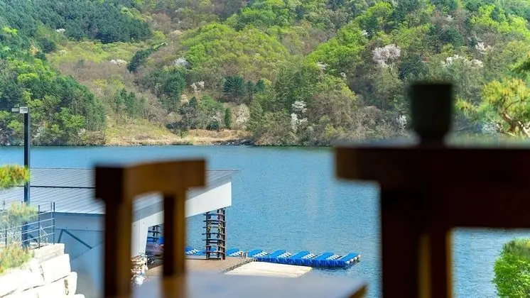 Basic Oda, 1 Yatak Odası (Geumgaram 201)