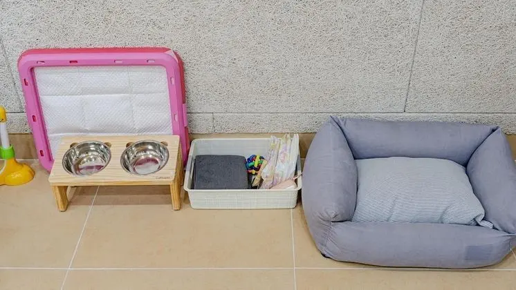 Basic Oda, 1 Yatak Odası (Kids1 (spa))