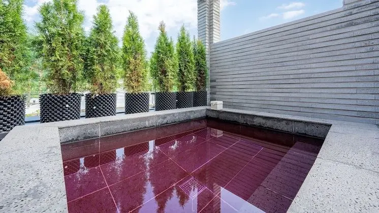 Basic Oda, 1 Yatak Odası (101ho(PoolVilla))