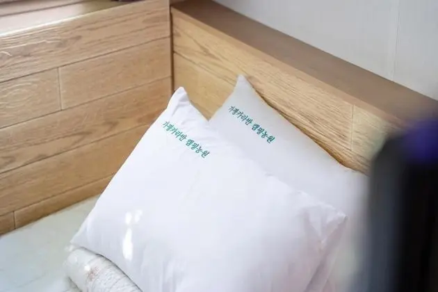 Basic Oda, 1 Yatak Odası (DeluxeAhyeong2)