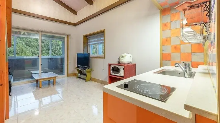 Basic Oda, 1 Yatak Odası (sangsuri)