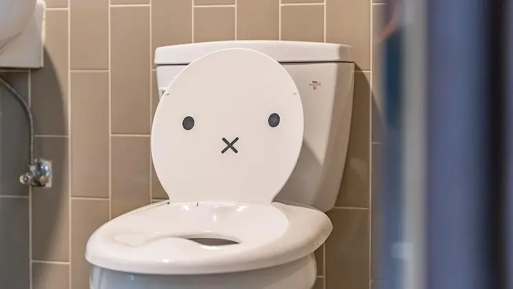 Basic Oda, 1 Yatak Odası (lemon)