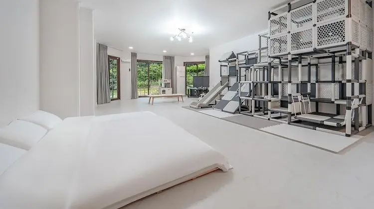 Basic Oda, 1 Yatak Odası (lemon)