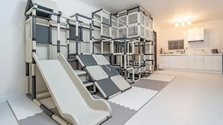 Basic Oda, 1 Yatak Odası (lemon)