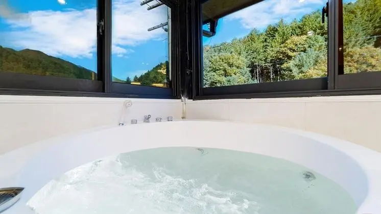 Basic Oda, 1 Yatak Odası (204ho(dandoggeullaemping/spa))