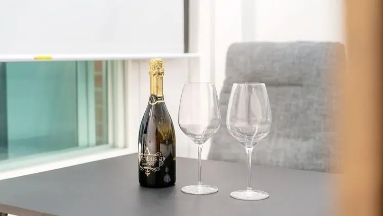 Basic Oda, 1 Yatak Odası (204ho(dandoggeullaemping/spa))