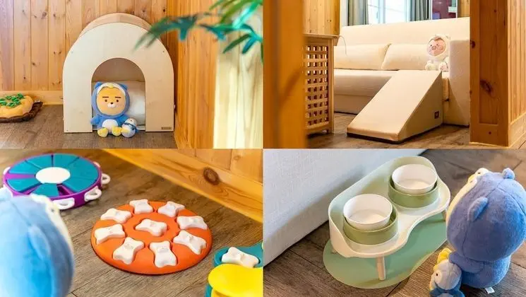 Basic Oda, 1 Yatak Odası (Edong (Detached/Jet Spa))