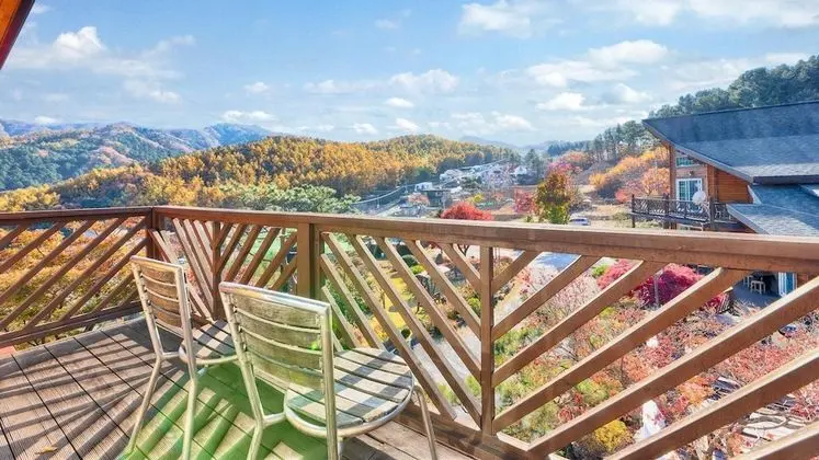 Basic Oda, 1 Yatak Odası (H7)