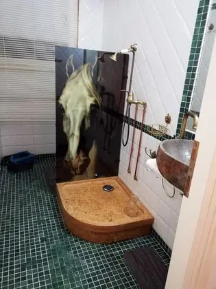 Business Tek Büyük Yataklı Oda (+ Meeting Room)