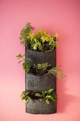 Family Apart Daire, Birden Çok Yatak, Şehir Manzaralı